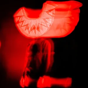 Pochette de Approach de Wild Animal, distribué par Booster Music via Pulse