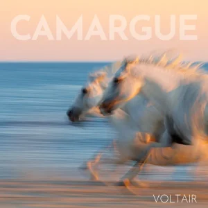 Pochette de Camargue de Voltair, distribué par Booster Music via Lalouline