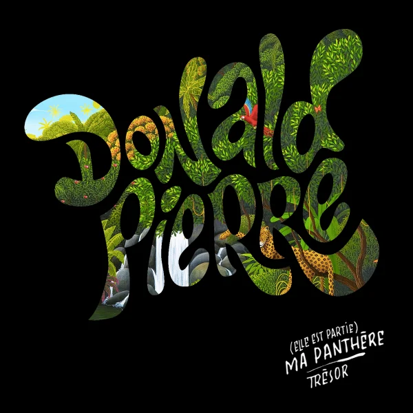 Pochette de (Elle est partie) Ma panthère de Donald Pierre, distribué par Booster Music via Absolute Management