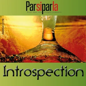 Pochette de INTROSPECTION de CIRYLE COPLAN, distribué par Booster Music via Parsiparla