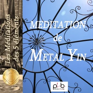 Pochette de Les méditations des 5 éléments : le bijou métal yin gyxoyzzy de Denis Mochet, Sandrine Valette, distribué par Booster Music via Phb Productions