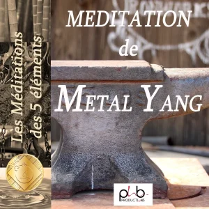 Pochette de Les méditations des 5 éléments : le fer métal yang ankzyk de Denis Mochet, Sandrine Valette, distribué par Booster Music via Phb Productions