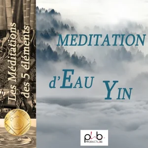 Pochette de Les méditations des 5 éléments : le nuage eau yin olk de Denis Mochet, Sandrine Valette, distribué par Booster Music via Phb Productions