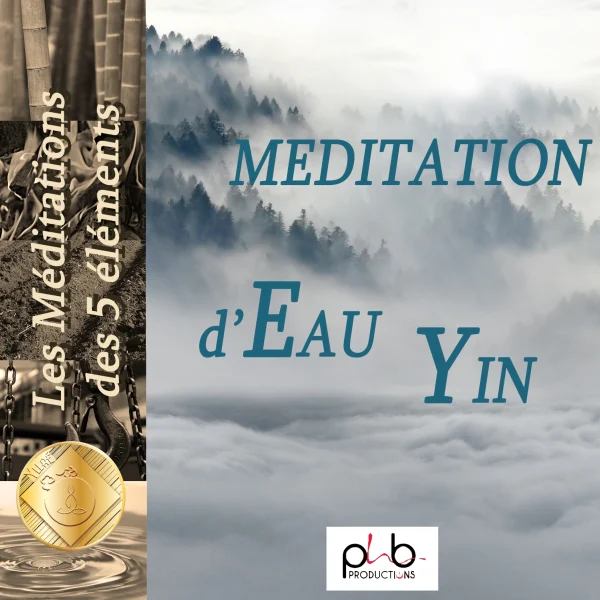 Pochette de Les méditations des 5 éléments : le nuage eau yin olk de Denis Mochet, Sandrine Valette, distribué par Booster Music via Phb Productions