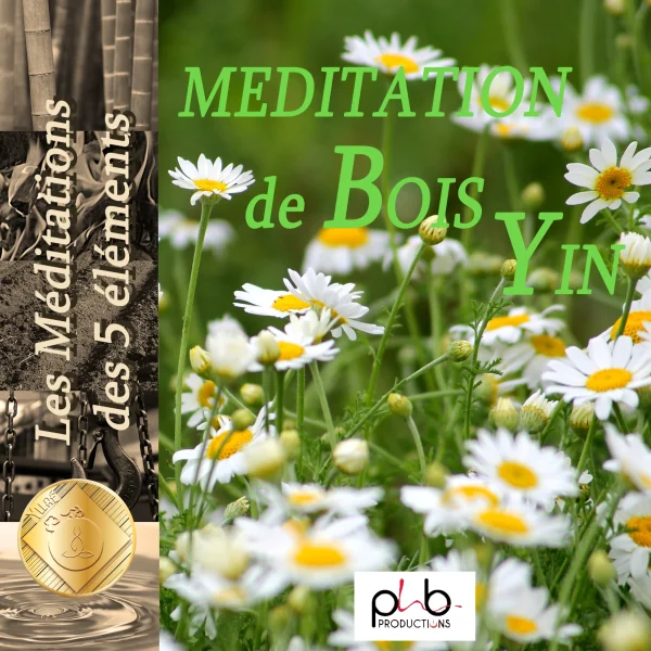 Pochette de Les méditations des 5 éléments : l&rsquo;herbe bois yin oaylyjlac de Denis Mochet, Sandrine Valette, distribué par Booster Music via Phb Productions