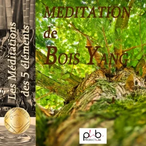 Pochette de Les relaxations – Méditations des 5 éléments l&rsquo;arbre bois Yang Yozykaz de Sandrine Besson, Denis Mochet, distribué par Booster Music via Phb Productions