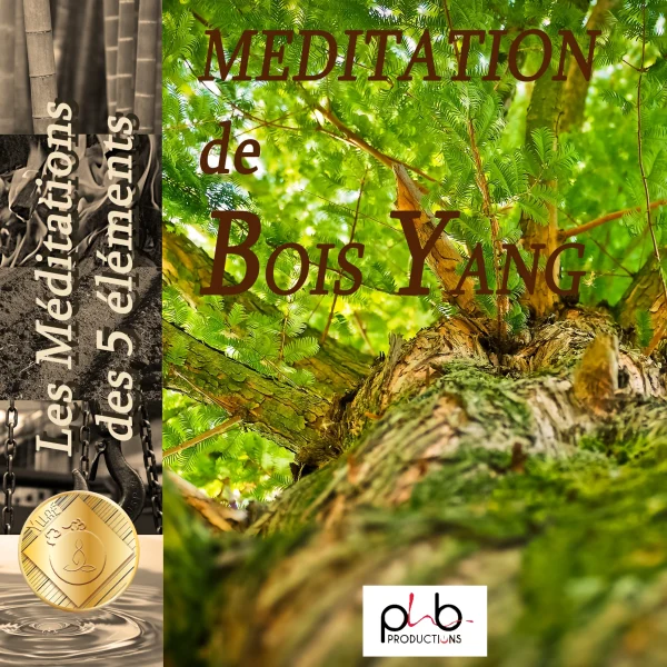 Pochette de Les relaxations – Méditations des 5 éléments l&rsquo;arbre bois Yang Yozykaz de Sandrine Besson, Denis Mochet, distribué par Booster Music via Phb Productions
