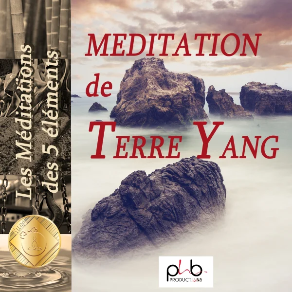 Pochette de Les relaxations – Méditations des 5 éléments le roc terre Yang Aztcyy M de Sandrine Besson, Denis Mochet, distribué par Booster Music via Phb Productions