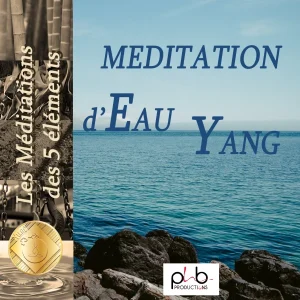 Pochette de Les relaxations – méditations des 5 éléments l&rsquo;océan eau Yang sialleuc de Sandrine Besson, Denis Mochet, distribué par Booster Music via Phb Productions