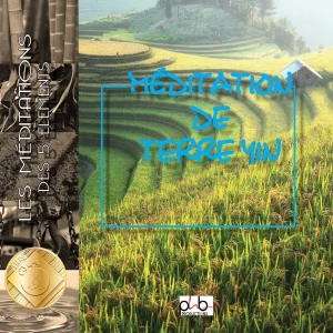 Pochette de Méditation des 5 éléments – La terre Yin – La terre de Sandrine Besson, distribué par Booster Music via Phb Productions
