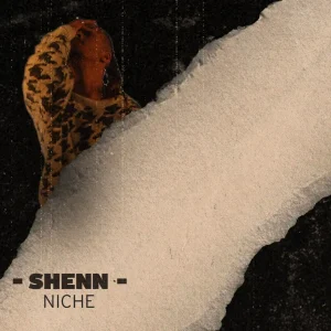 Pochette de Niche de Shenn, distribué par Booster Music via Synaps Music