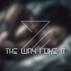 Pochette de THE WAY I LIKE IT de Bartam, distribué par Booster Music via Anahata Productions